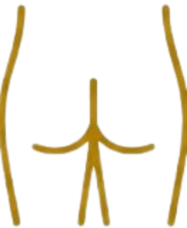 Glúteos